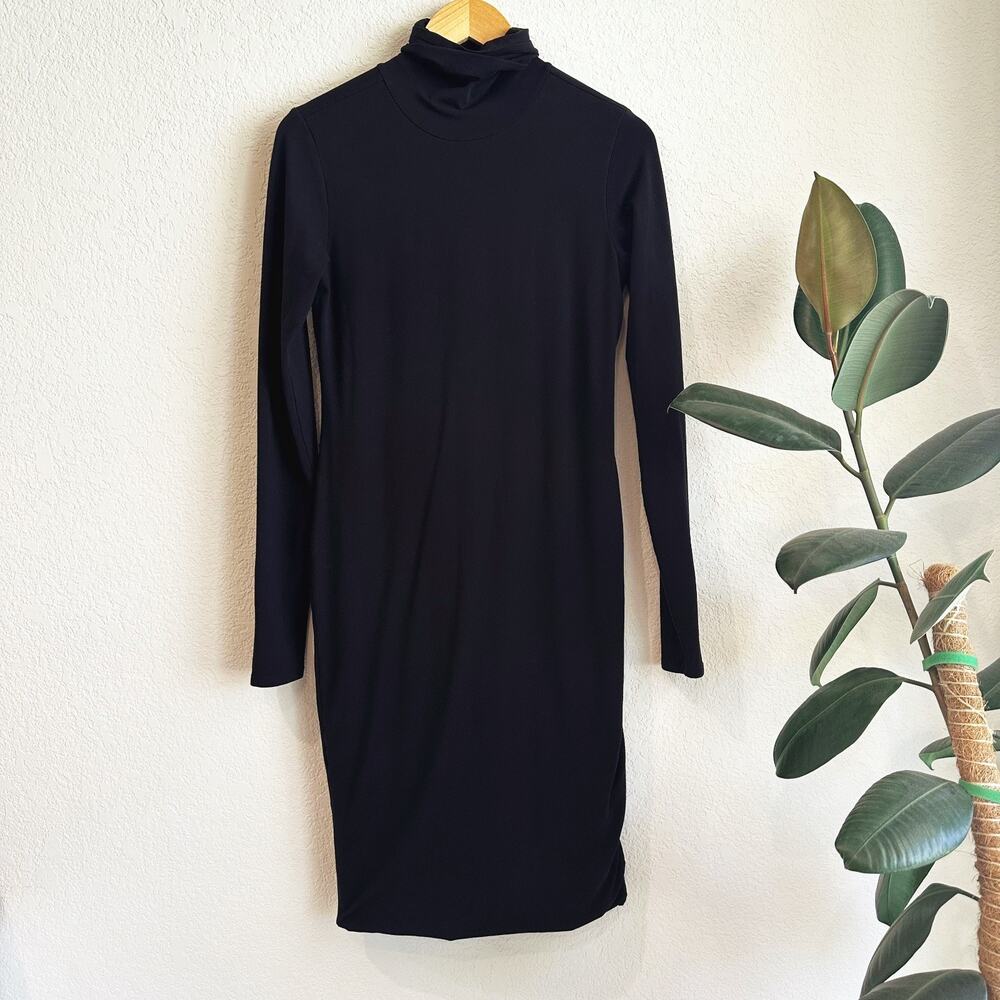 Peruvian Connection Turtleneck Long Sleeve Dress Medium Capsule Minimalist Black